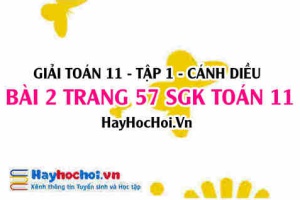 Giải bài 2 trang 57 Toán 11 tập 1 SGK Cánh Diều